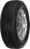 Mastersteel WINTER + W1 225/55 R17 97 H